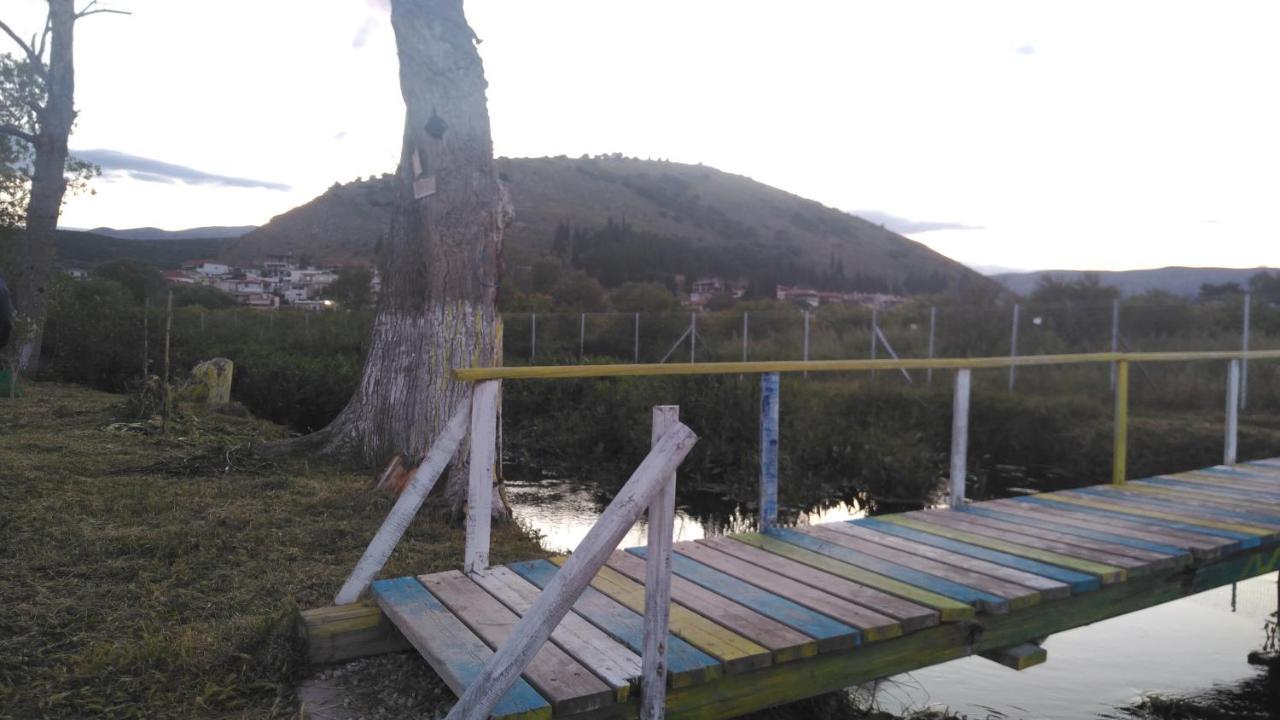 Daire O Xenonas Ton Mylon *